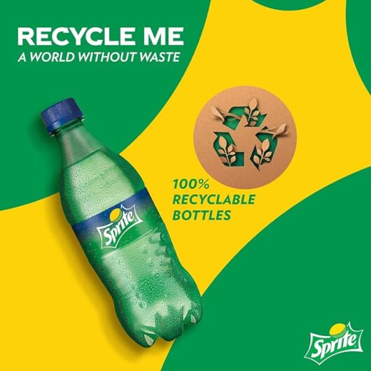 Sprite Lemon-Lime Flavoured Cold Drink |Recyclable PET Bottle, 250 ml (Pack of 8) - Image 7